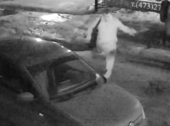 В Воронеже мужчина массово ломал ногой зеркала машин и попал на видео