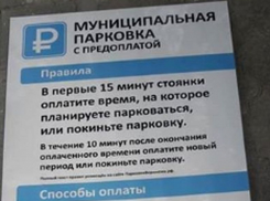 В Воронеже начали монтировать знаки платных парковок