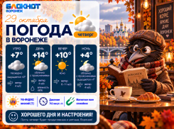 Холодно, но солнечно: прогноз погоды в Воронеже