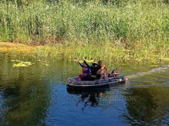 Супергероев нашли в неожиданном месте в Воронежской области