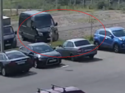 Зверское нападение собаки на девушку сняли в Воронеже