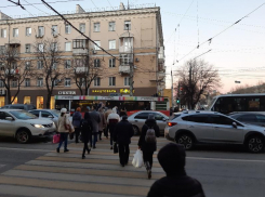 Воронежского активиста раскритиковали за «касту автобыдла»