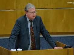 «Я этот дебилизм категорически не поддерживаю» – депутат Госдумы Делягин сдал назад в разговорах о блокировке Telegram