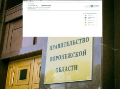 Чиновники забыли оплатить продление работы сайта правительства Воронежской области