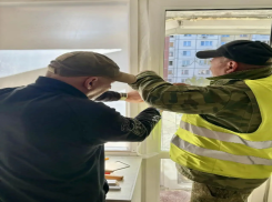 Сергей Петрин рассказал, как воронежцам получить компенсацию за самостоятельно заменённые окна после атаки БПЛА