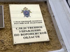 Скандал в кадетской школе привел к уголовному делу в Воронеже 