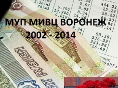 Это какая-то дикость: развалили муниципальное предприятие в угоду ишутинцам, а украденное хотят погасить из бюджета 