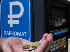 Озвучены потери бюджета от работы платных парковок в Воронеже 