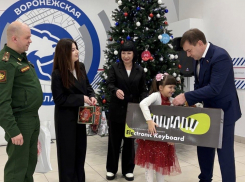 Сенатор Нетесов вручил подарок воронежской девочке