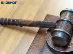 Мужчину оштрафовали за внезапную стрельбу под Воронежем