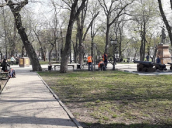 Мэрия Воронежа прокомментировала мусорное бедствие в Петровском сквере 