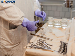 Десятерых воронежских медиков наградили госнаградами за работу в экстремальных условиях 