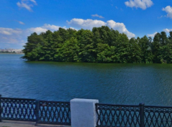 Движение автомобилей хотят организовать на Петровский остров в Воронеже