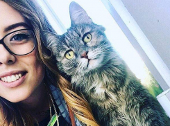Кошка ведет пары у воронежских студентов и публикует фото в Instagram