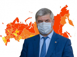 Как выглядит Воронежская область на ковидной карте России перед локдауном 