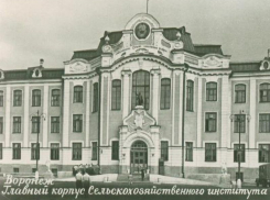 Имя величайшего русского почвоведа присвоили 54 года назад воронежскому СХИ