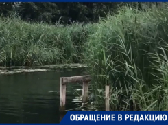 О брошенной и заросшей реке Савале рассказали жители Воронежской области