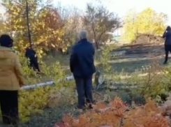 «Массовую вырубку» деревьев в Коминтерновском районе Воронежа сняли на видео 