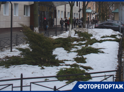 Внезапная зима накрыла Воронеж в начале марта 