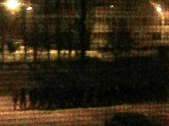 Футбольные хулиганы рассказали подробности кровавой драки за школой в Воронеже