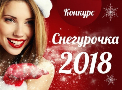 Стартовало голосование в конкурсе «Снегурочка-2018»