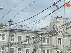 Мэрия Воронежа превратилась в голубятню