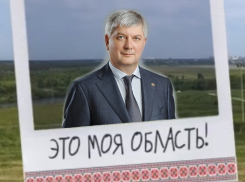 Семейный подряд: провластный блогер подключила 13-летнего сына к пиару губернатора Гусева