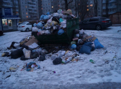 Жители нескольких домов в Левобережном районе могут встретить Новый год среди мусора и отходов