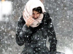 Обильные снегопады накроют Воронеж в первую неделю января