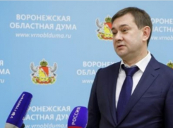 Раскрыт список воронежских СМИ, прикормленных облдумой Нетёсова 