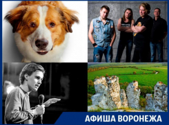 Куда сходить в Воронеже:  ночь в Дивногорье, Порараз Бирацца и «Собачья жизнь 2»
