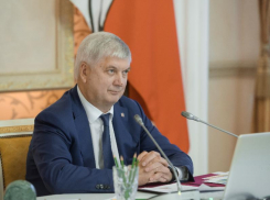 Уже через месяц после выборов Александр Гусев ушел отдыхать от воронежцев 