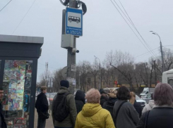 «Живут вчерашним днем»: воронежских чиновников обвинили в безразличии к пассажирам