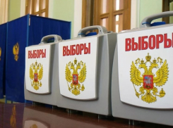 В полдень явка на выборы воронежского губернатора в регионе превысила 15%
