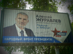 В баннерах лидера воронежской «Родины» правозащитники разглядели незаконную агитацию