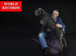 Многодетный четвероногий отец побил мировой рекорд в Воронеже
