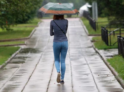 Синоптики рассказали, сколько в Воронеже продержится прохладная погода