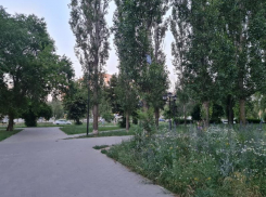 Сквер имени командующего Воронежским фронтом приобрел неприглядный вид 