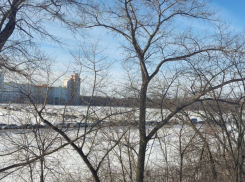 Пробкой автомобилей отметился первый день работы дороги Шишкова-Тимирязева в Воронеже