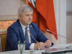 «Сам ехал за рулем в два раза дольше»: Гусев призвал воронежцев к терпению из-за ухудшающейся погоды 