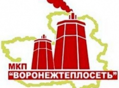 Сергей Крючков пожаловался губернатору на «Воронежтеплосеть»