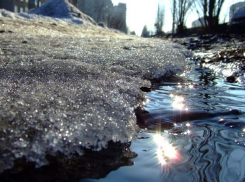 Стремительное наступление весны обещают воронежцам синоптики 