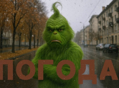 Какие осадки ждут Воронеж в ближайшие дни