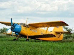 Самолет Ан-2 совершил вынужденную посадку на воронежском поле