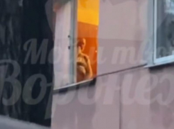 Занимается непристойностями: мужчина, следящий из окна за детьми, встревожил воронежцев