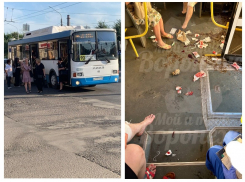 «Люди упали, водитель отморозился»: что было в воронежском автобусе в момент кровавого ЧП 