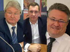 Воронежский депутат привлек Кстенина и Ходырева к установке памятника Хою