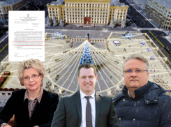 Депутат опубликовал официальный ответ мэрии Воронежа о «ёлочке» за 65 млн рублей