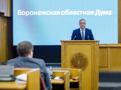 Вскрыты нарушения на 12,6 млрд рублей в Воронежской области