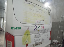 Необычные маршрутки выпустили на линию в Воронеже 